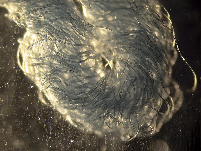 Krpa za čiščenje tal GLOBO MICRO-ACTIVA 40 cm za vpenjanje 